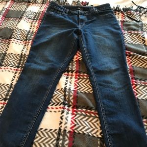 D. Jeans 16petite Blue Jeans
